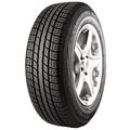 Tire GT Radial Champiro BXT